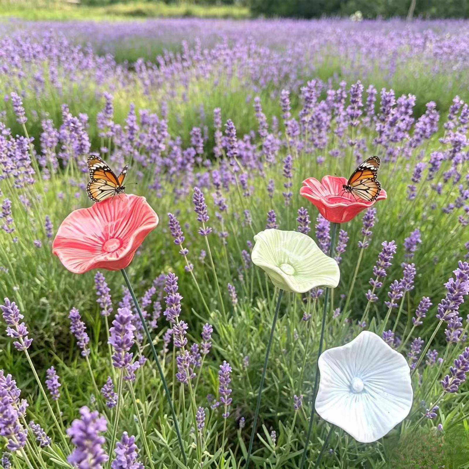 ชุดชามเซรามิกรูปผึ้ง 4 ชิ้น สำ - Garden Weather Station บทวิจารณ์และราคา