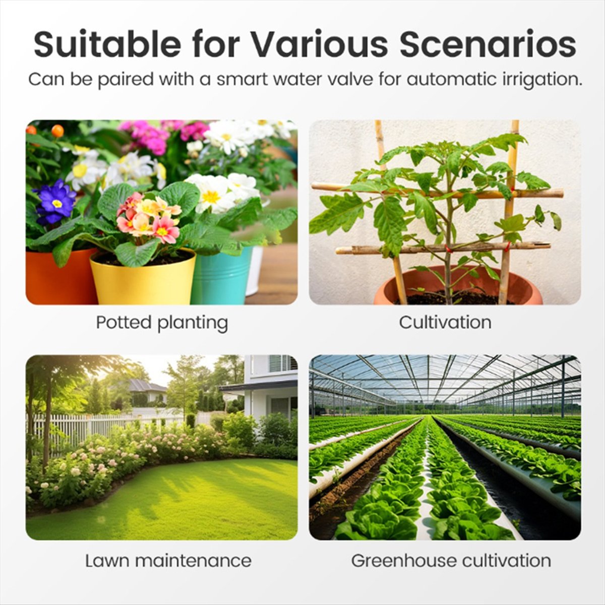 เครื่องวัดความชื้นในดินอัจฉริย - Smart Garden Zigbee บทวิจารณ์และราคา